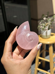 Rose Quartz Nautilus Seashell Carving - 35