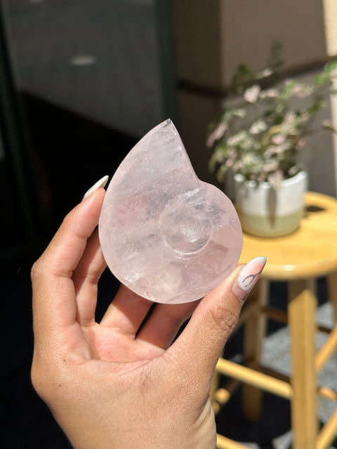 Rose Quartz Nautilus Seashell Carving - 42