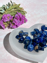 Sodalite Mushrooms