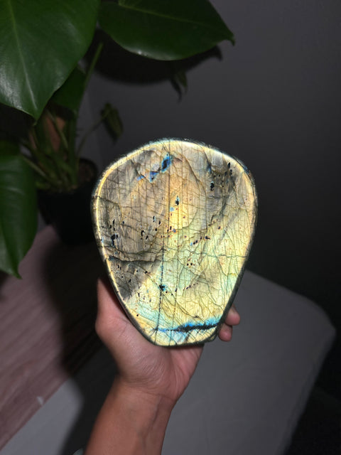 Labradorite Freeform - 176