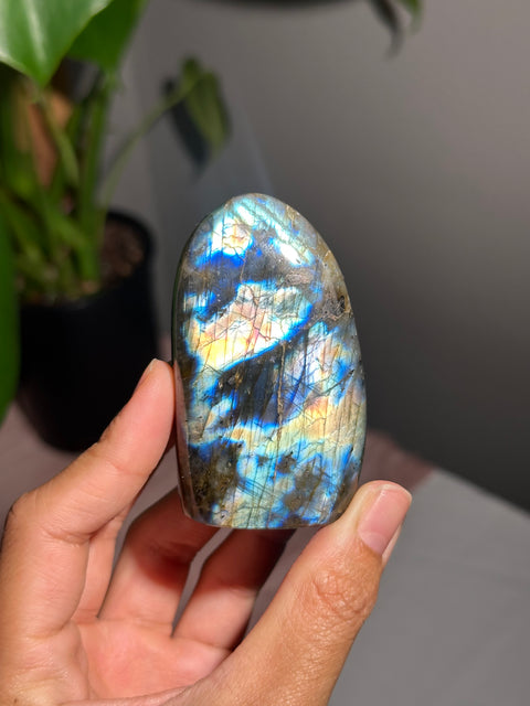 Mini Labradorite Freeform - 20