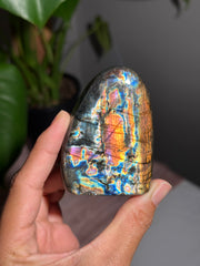Rainbow Flash Labradorite Freeform - 26
