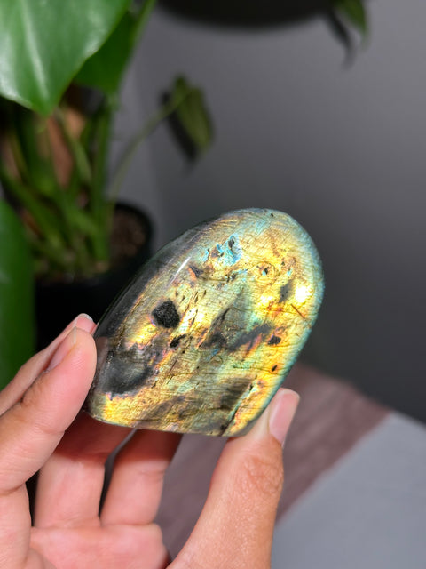 Labradorite Freeform - 16