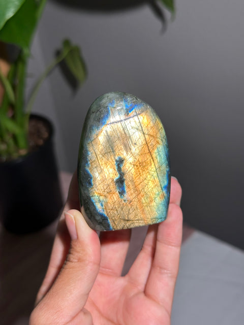 Labradorite Freeform - 21