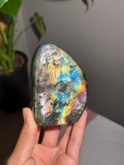Labradorite Freeform - 43