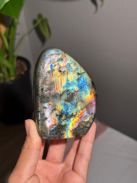 Labradorite Freeform - 43