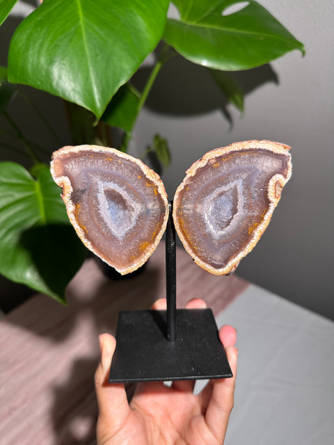 Agate Wings on Stand - 61