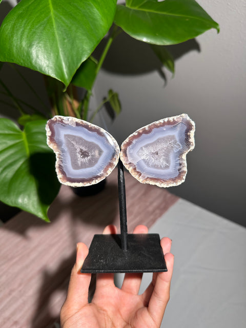 Agate Wings on Stand - 60