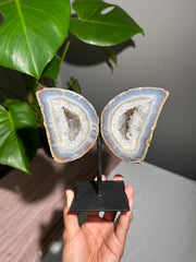 Agate Wings on Stand  - 95