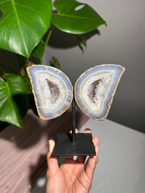 Agate Wings on Stand  - 95