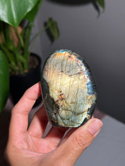 Yellow Gold Labradorite Freeform - 30