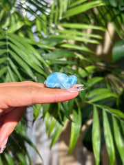 Top Quality Larimar Turtle - (E)