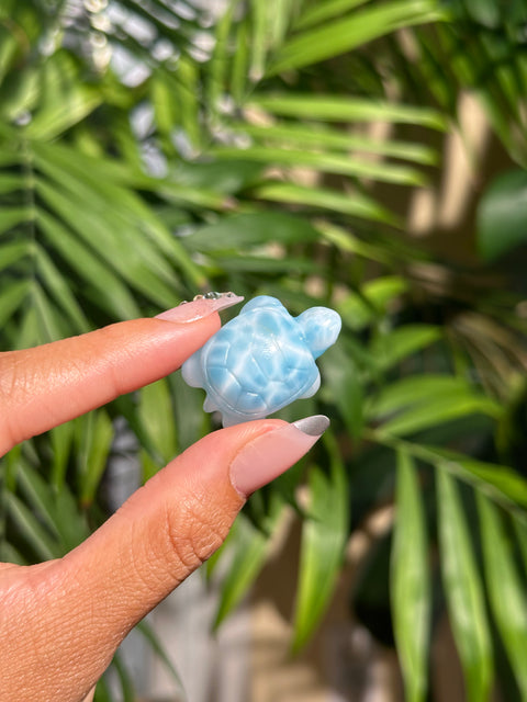 Top Quality Larimar Turtle - (F)