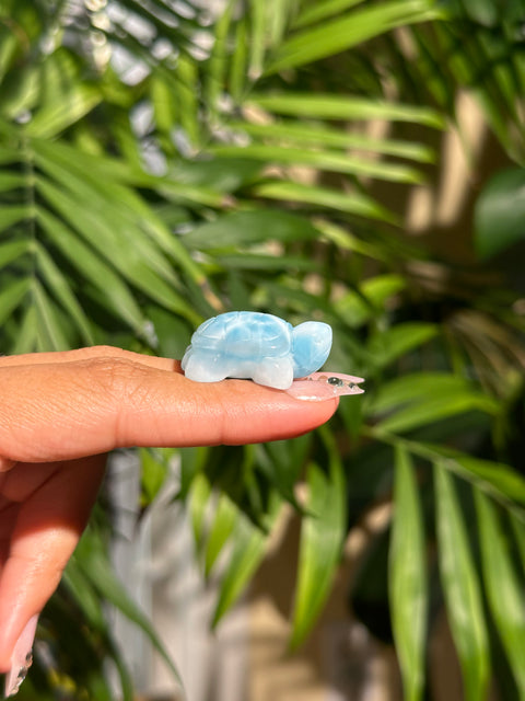 Top Quality Larimar Turtle - (F)