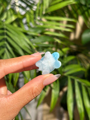 Top Quality Larimar Turtle - (F)