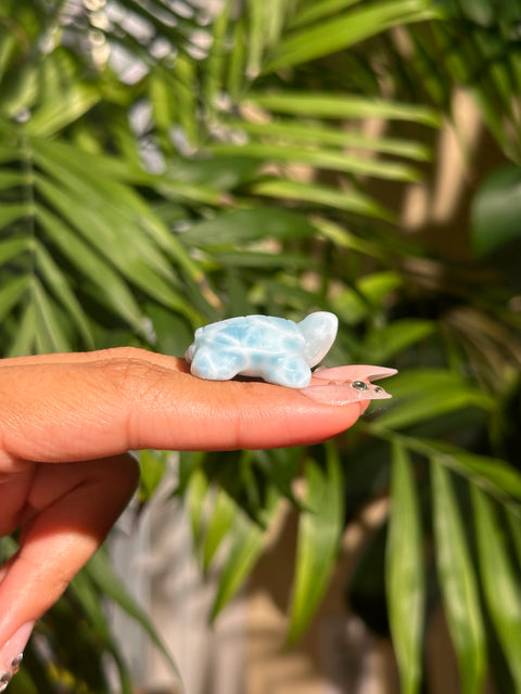 Top Quality Larimar Turtle - (G)