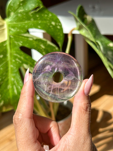 Large Fluorite Donut - (G)