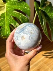 Flower Agate Sphere - (G)