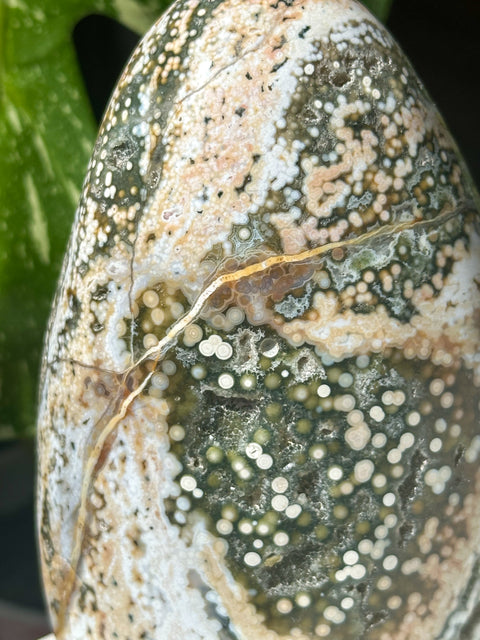 Green Orb Sea Jasper Freeform - (A)