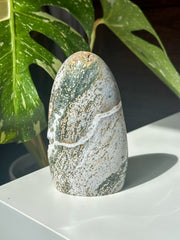 Green Orb Sea Jasper Freeform - (B)