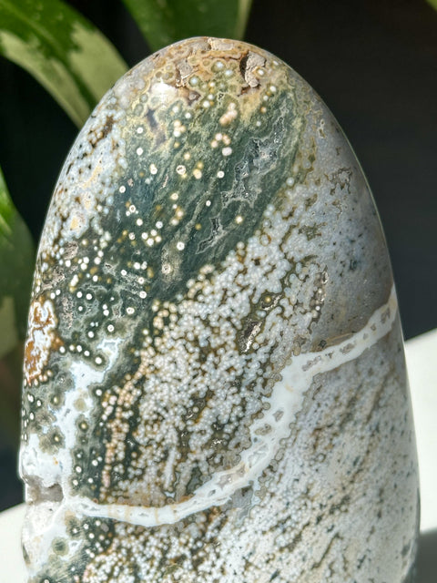 Green Orb Sea Jasper Freeform - (B)