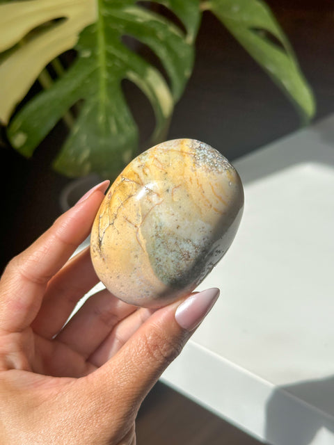 Sea Jasper Palm Stone - 18N