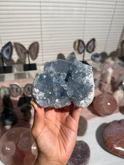 Dark Blue Celestite geode - 70