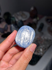 Mini Kyranite Palm - 27