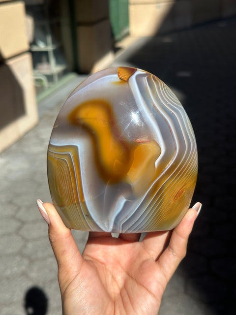 Orca Agate x Carnelian Freeform - 113