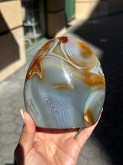 Orca Agate x Carnelian Freeform - 113