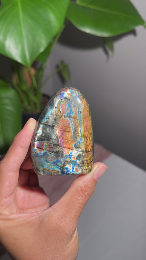Rainbow Flash Labradorite Freeform - 26