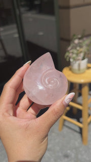 Rose Quartz Nautilus Seashell Carving - 48