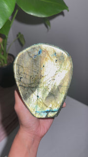 Labradorite Freeform - 176