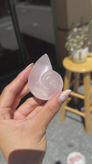 Rose Quartz Nautilus Seashell Carving - 21