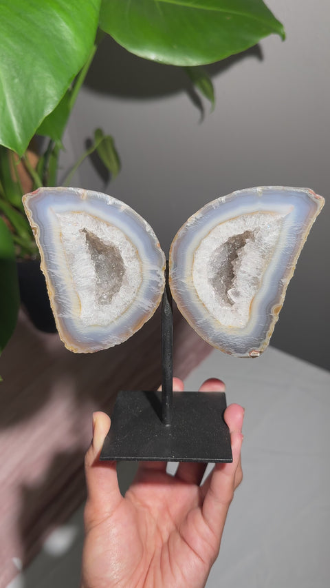 Agate Wings on Stand  - 95