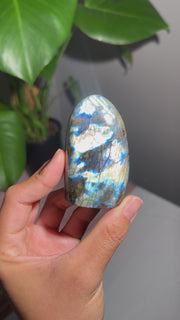 Mini Labradorite Freeform - 20