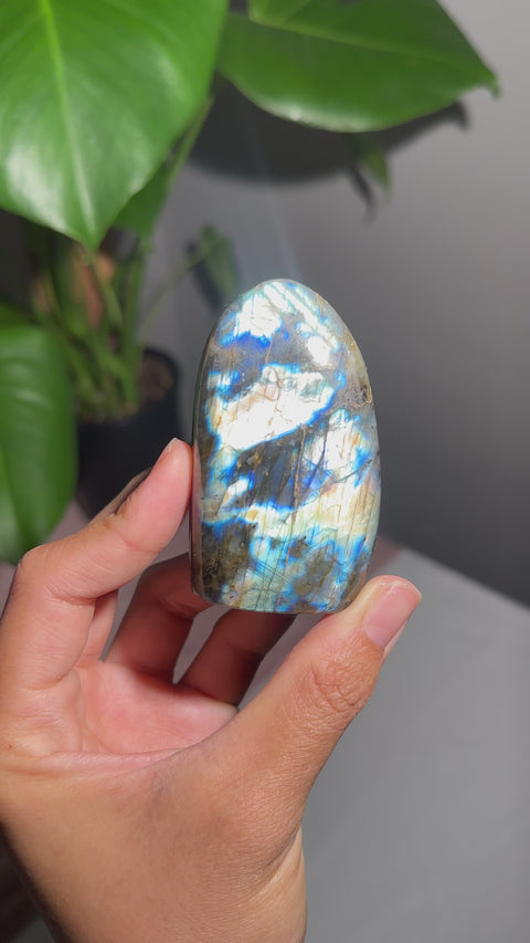 Mini Labradorite Freeform - 20