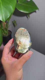 Yellow Gold Labradorite Freeform - 30