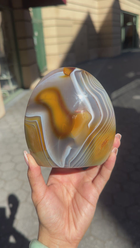 Orca Agate x Carnelian Freeform - 113