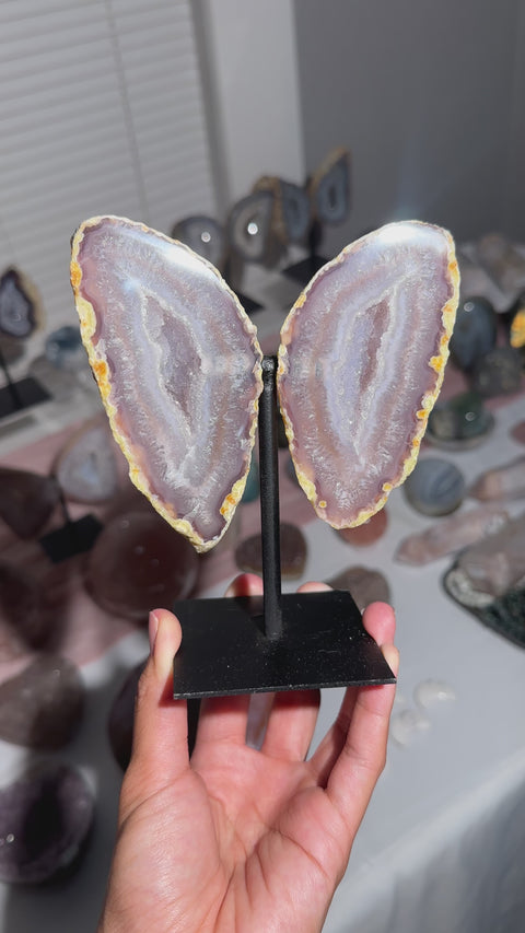 Druzy Agate Fairy Wings on Stand - 89