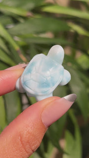 Top Quality Larimar Turtle - (G)