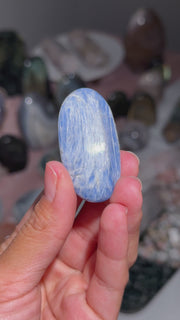 Kyante Mini Palm - 18