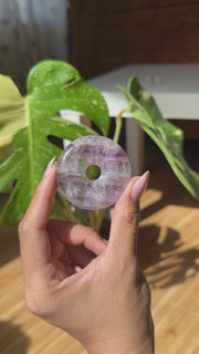 Large Fluorite Donut - (D)