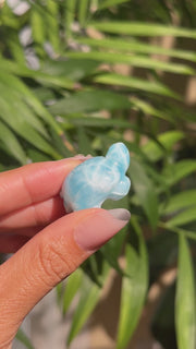 Top Quality Larimar Turtle - (E)