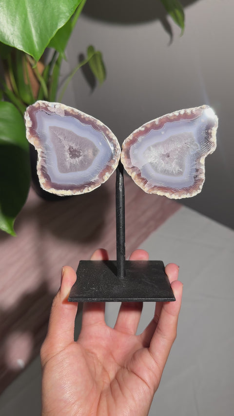 Agate Wings on Stand - 60