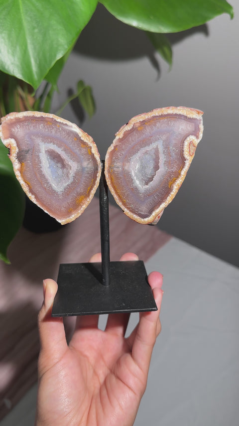 Agate Wings on Stand - 61