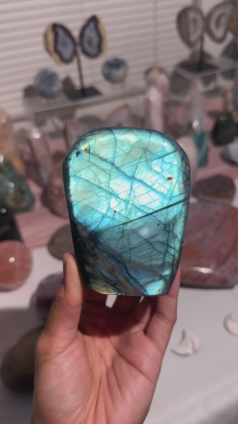 Electric Teal Blue Labradorite Freeform - 79