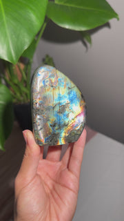 Labradorite Freeform - 43
