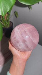 Star Rose Quartz Statement Sphere - 222