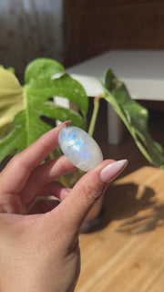 Rainbow Moonstone Shiva